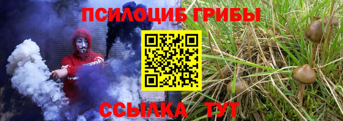Галлюциногенные грибы Psilocybe Джанкой