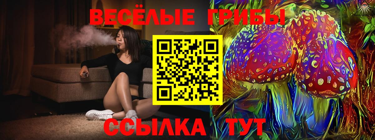 дарнет шоп  Вход с VPN  Джанкой  Псилоцибиновые грибы ЛСД 